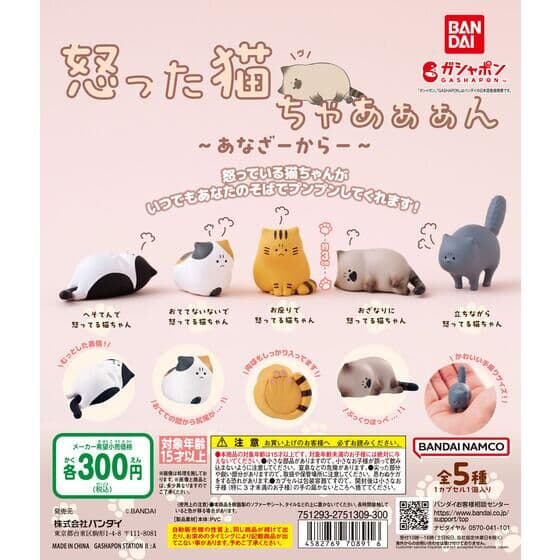 怒った猫ちゃあぁぁん あなざーからー