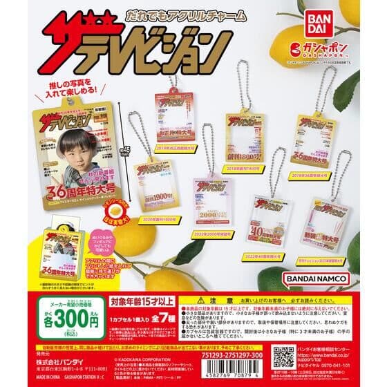 ザテレビジョン だれでもアクリルチャーム