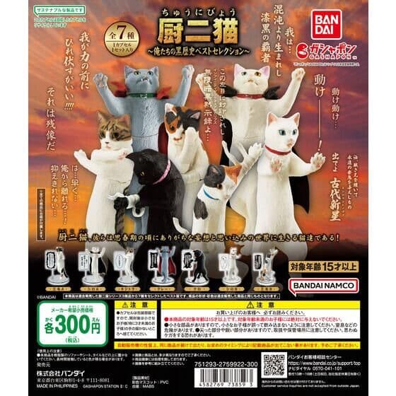 厨二猫（ちゅうにびょう） ～俺たちの黒歴史ベストセレクション～