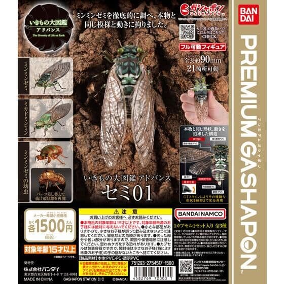 いきもの大図鑑アドバンス セミ01