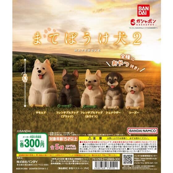 まてぼうけ 犬2