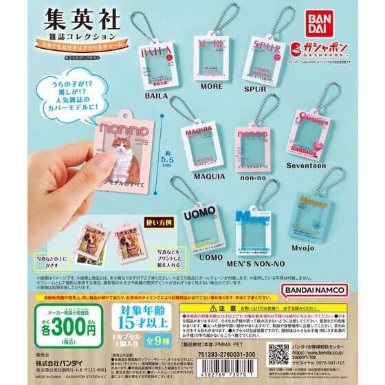 集英社雑誌コレクション だれでもなりきりアクリルチャーム