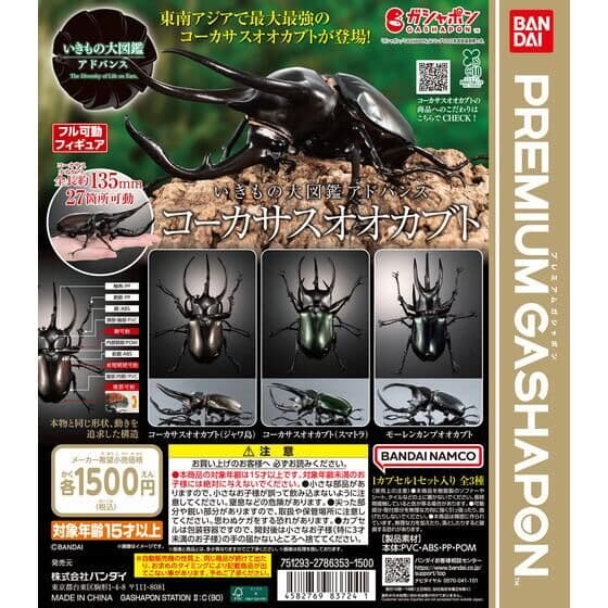 いきもの大図鑑アドバンス コーカサスオオカブト