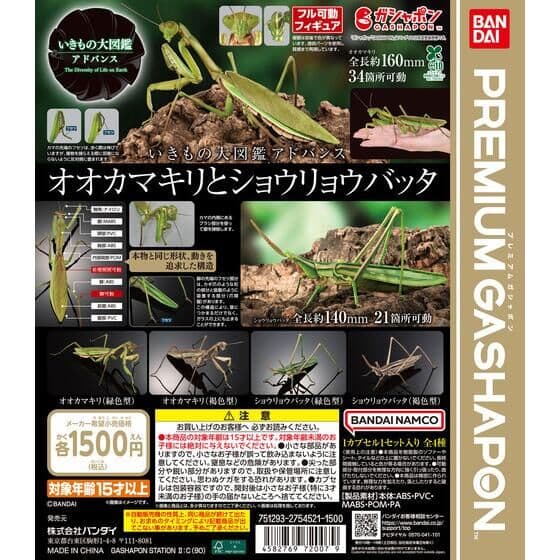 いきもの大図鑑アドバンス オオカマキリとショウリョウバッタ