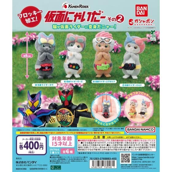 仮面にゃいだー その２