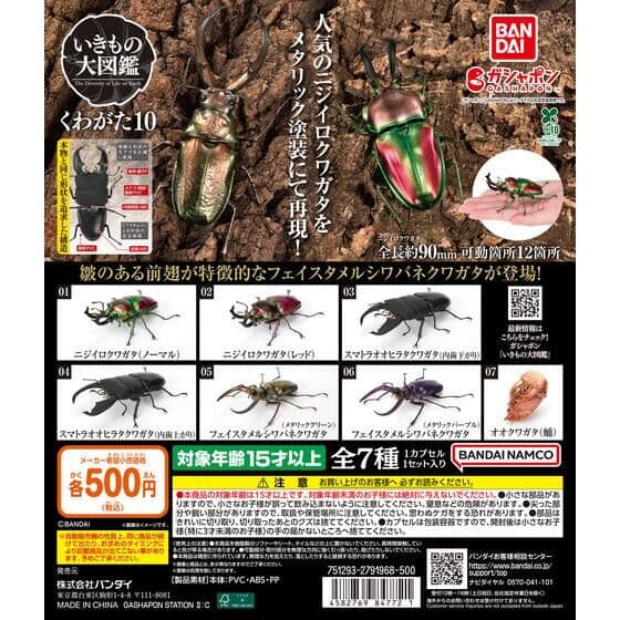 いきもの大図鑑 くわがた10