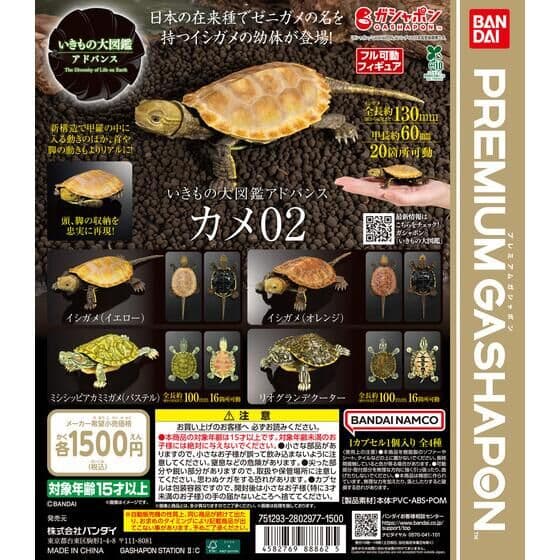 いきもの大図鑑アドバンス カメ02