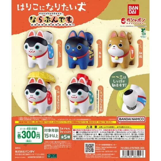はりこになりたい犬 ならぶんです。