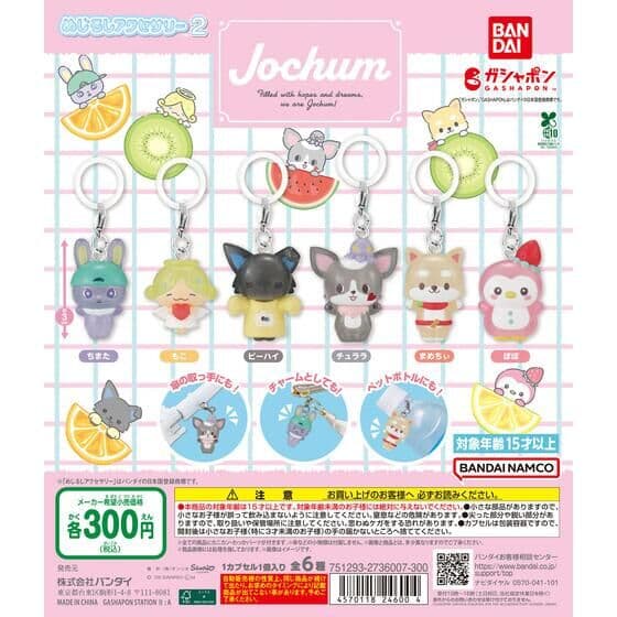 JOCHUM めじるしアクセサリー2