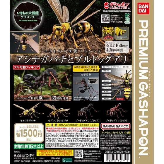 いきもの大図鑑アドバンス アシナガバチとブルドックアリ
