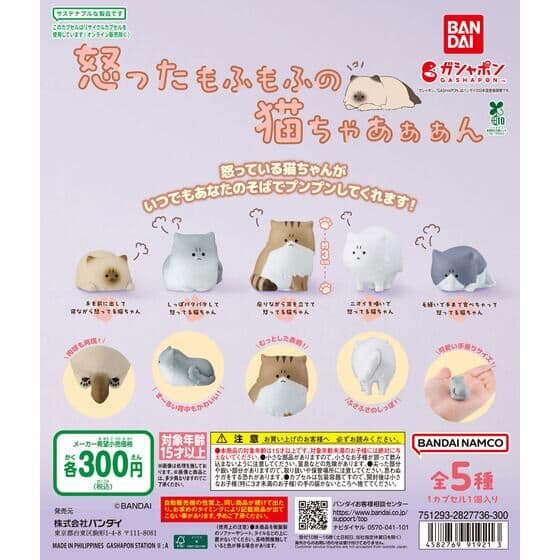 怒ったもふもふの猫ちゃあぁぁん