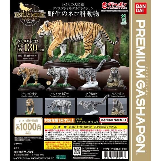 いきもの大図鑑ディスプレイモデルコレクション 野生のネコ科動物
