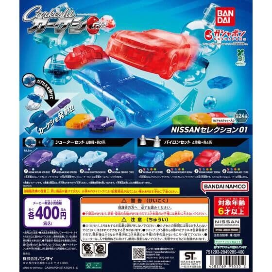 カーケシGP NISSANセレクション01