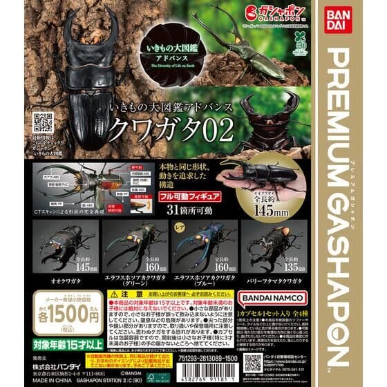 いきもの大図鑑アドバンス クワガタ02